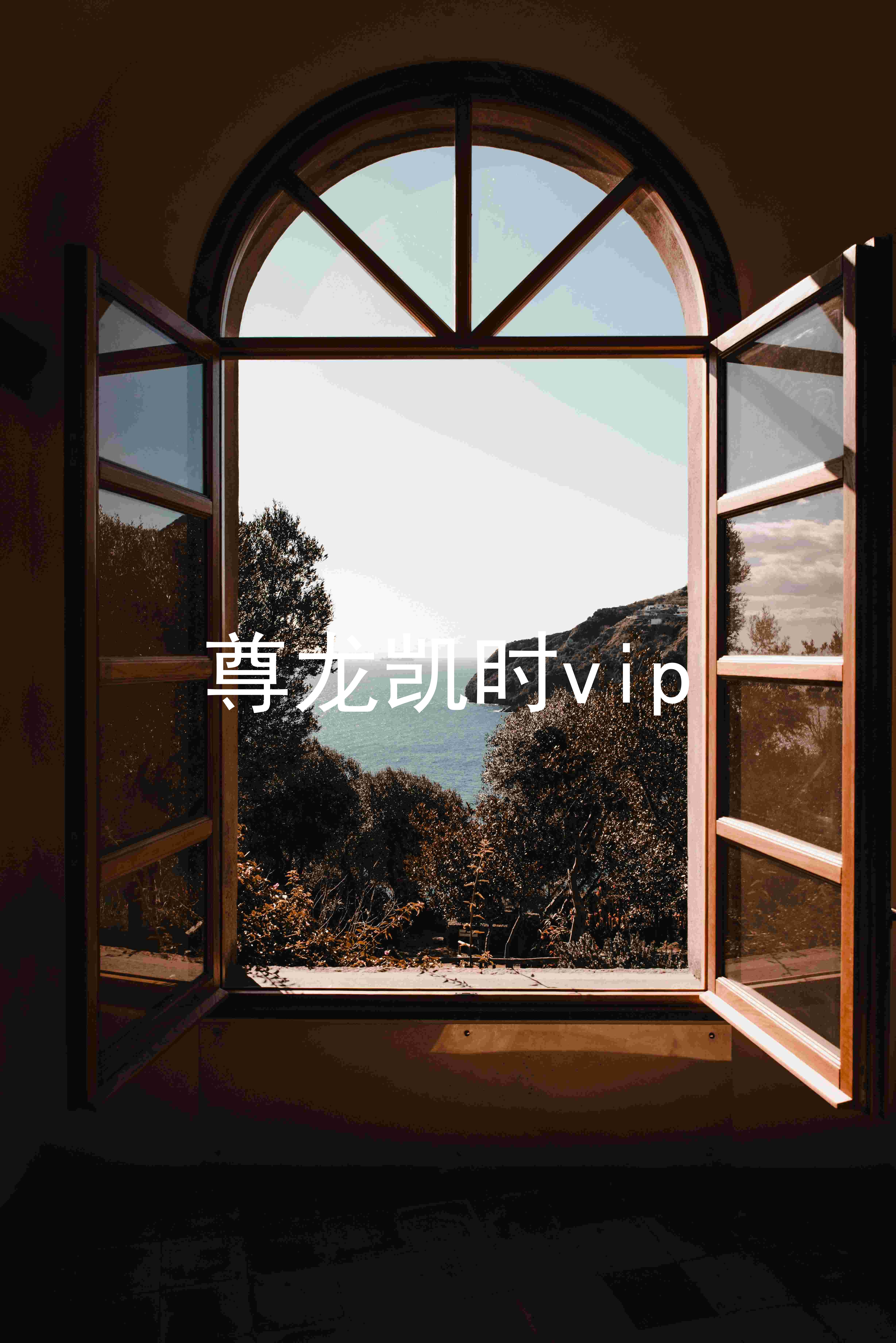 尊龙凯时vip