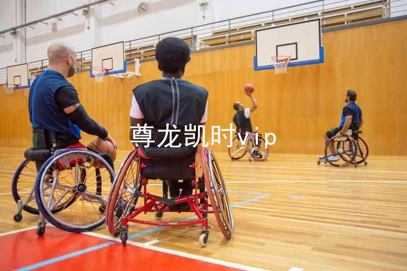 尊龙凯时vip