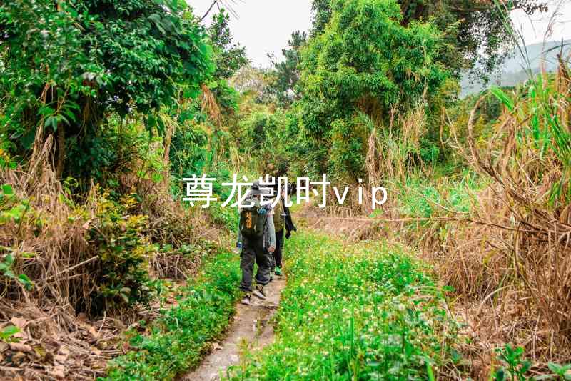 尊龙凯时vip